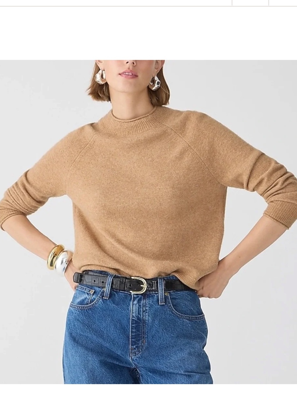 J.Crew Rollneck sweater in Supersoft yarn